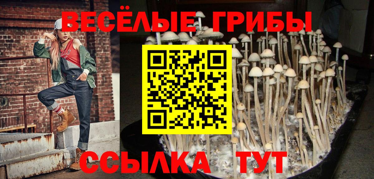 Галлюциногенные грибы MAGIC MUSHROOMS  Вход с VPN  Галлюциногенные грибы Psilocybe  Железногорск 